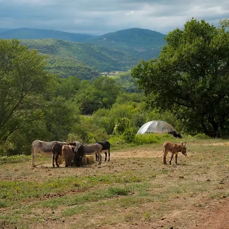 Les Cabanes- Bulle Des Frenes- Nuit Sous Les Etoiles Luxury tent *